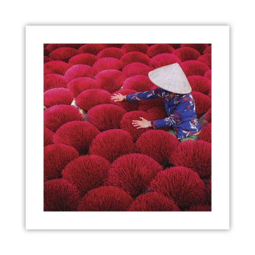 Affiche - Poster - Dans un champ de riz - 40x40 cm