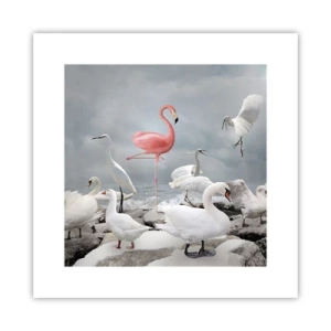 Affiche - Poster - Comment suis-je arrivé là? - 30x30 cm