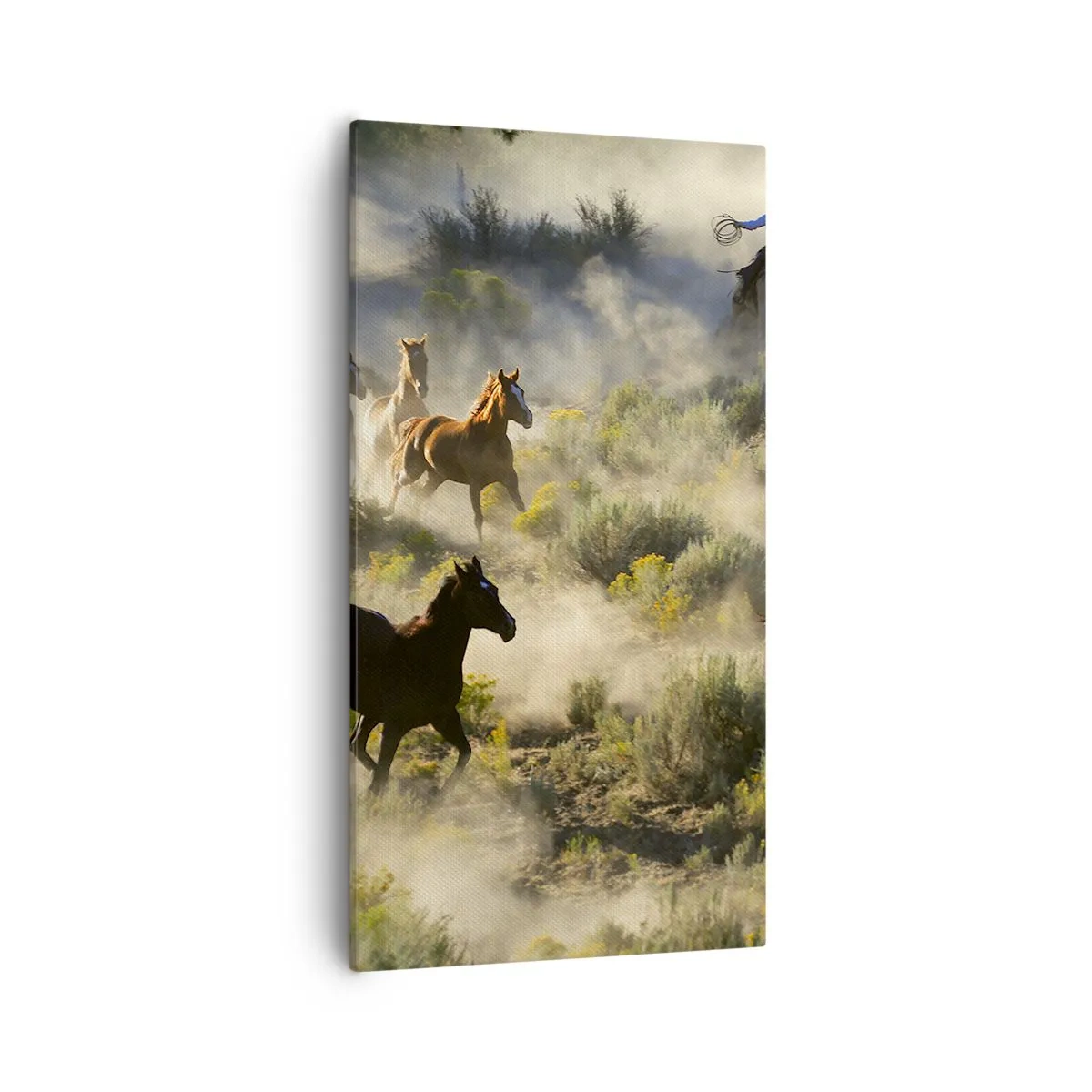 Impression sur toile - Image sur toile - Rivalité - liberté ou force masculine ? - 55x100 cm