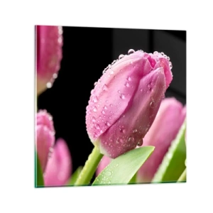 Impression sur verre - Image sur verre - Rêve de lilas dans la rosée - 40x40 cm