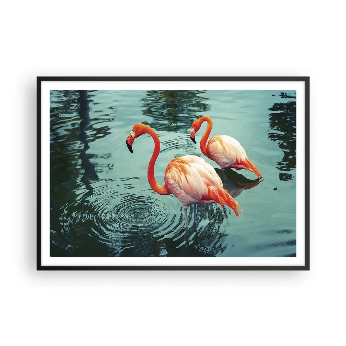 Affiche dans un cadre noir - Poster - Deux flamants roses dans l'eau calme reflétant leur environnement - 100x70cm - Nous sommes à la mode maintenant - Décoration murale moderne pour le salon et la chambre ARTTOR