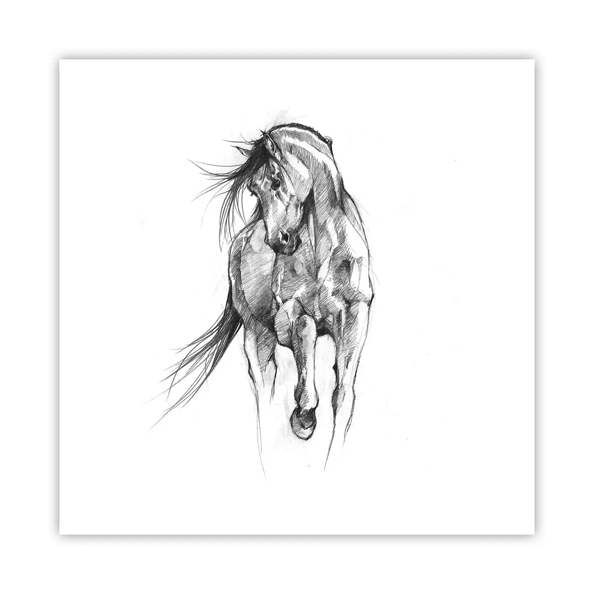 Affiche - Poster - D'un trot gracieux - 50x50 cm
