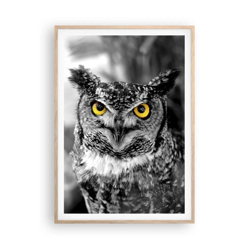 Affiche dans un chêne clair - Poster - Rien ne se cachera - 70x100 cm