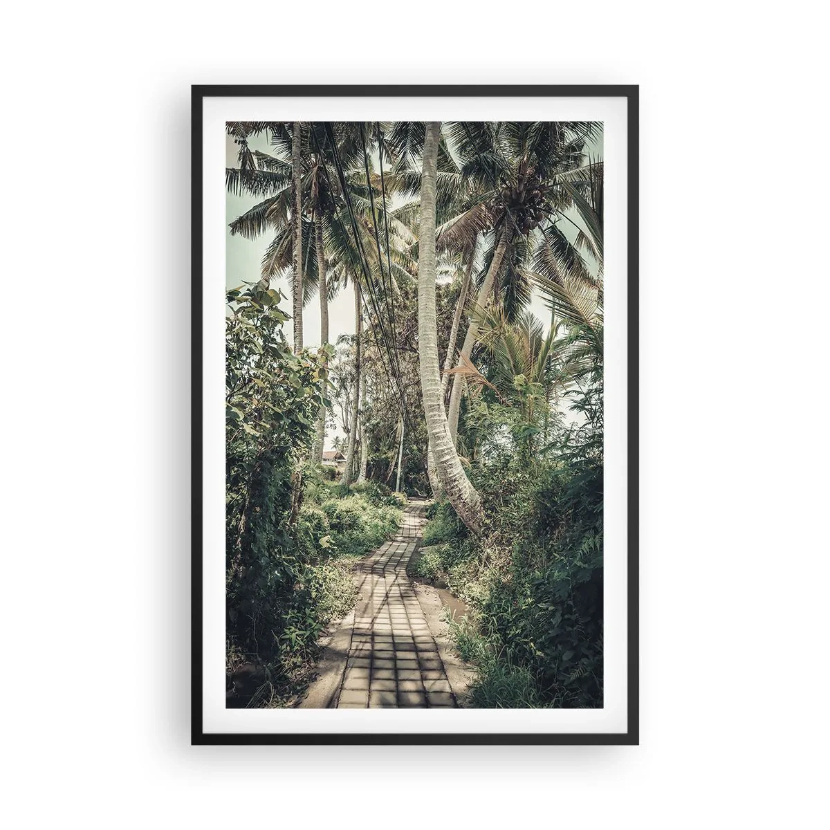Affiche dans un cadre noir - Poster - Allée des palmiers - 61x91 cm