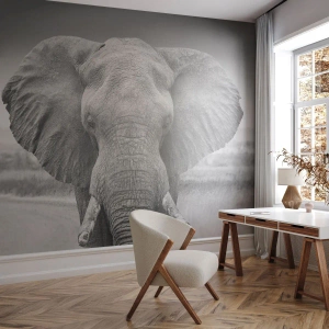 Papier Peint Photo Premium Canvas - Bienvenue dans mon monde - Éléphant, Afrique, Animaux - 500x350 cm