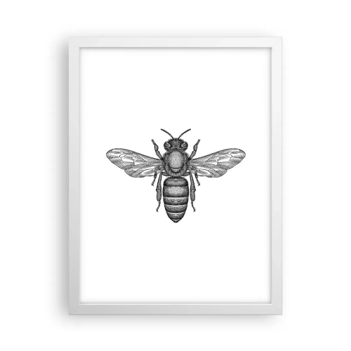 Affiche dans un cadre blanc - Poster - Portrait d'insecte - 30x40 cm