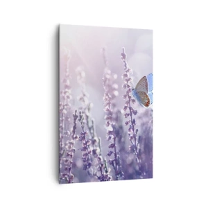 Impression sur toile - Image sur toile - Un papillon sur une lavande en fleurs dans la lumière du matin - 80x120cm - Baiser de papillon - Décoration murale moderne pour le salon et la chambre ARTTOR