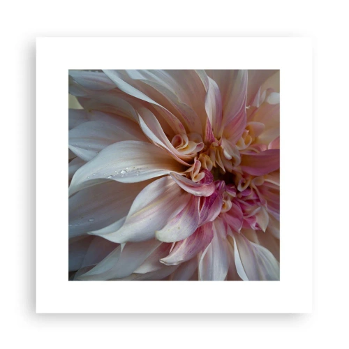 Affiche - Poster - Fraîcheur fleurissante - 30x30 cm