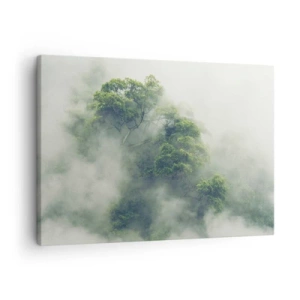 Impression sur toile - Image sur toile - Arbres verts dans un épais brouillard sur fond naturel - 70x50cm - Enveloppé de brouillard - Décoration murale moderne pour le salon et la chambre ARTTOR