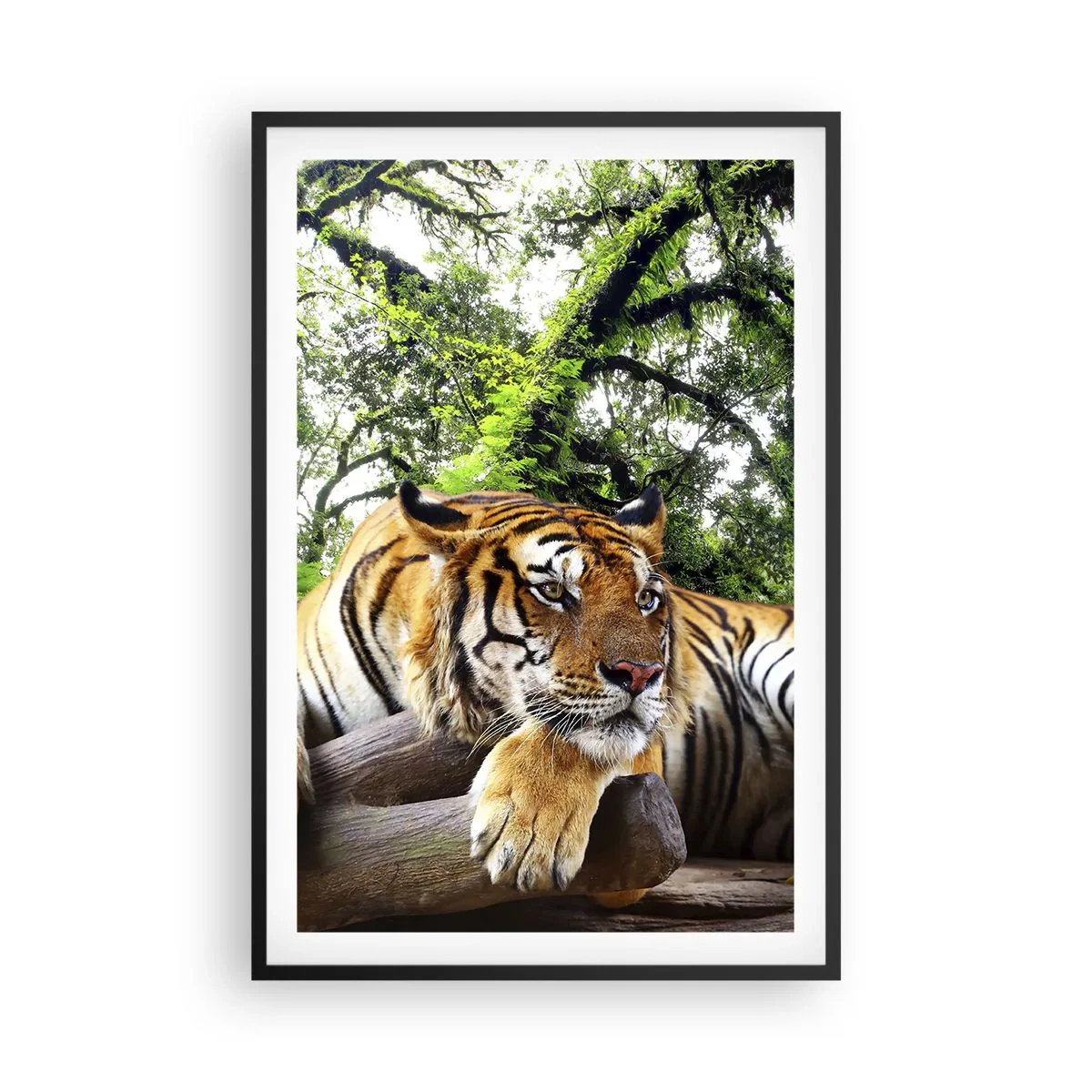 Affiche dans un cadre noir - Poster - Cordialement - 61x91 cm