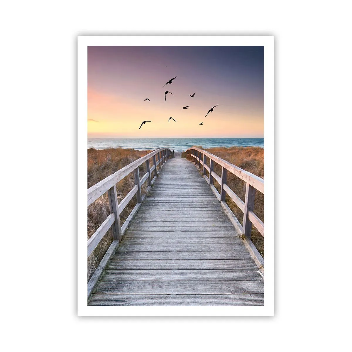 Affiche - Poster - Envol des espaces - 70x100 cm