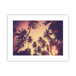 Affiche - Poster - Variation tropicale - 40x30 cm