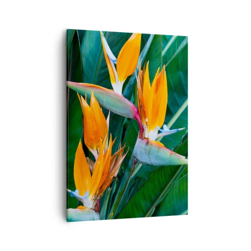 Impression sur toile - Image sur toile - Fleurs de strelitzia exotiques entourées de feuilles vertes - 50x70cm - Est-ce une fleur, est-ce un oiseaux? - Décoration murale moderne pour le salon et la chambre ARTTOR