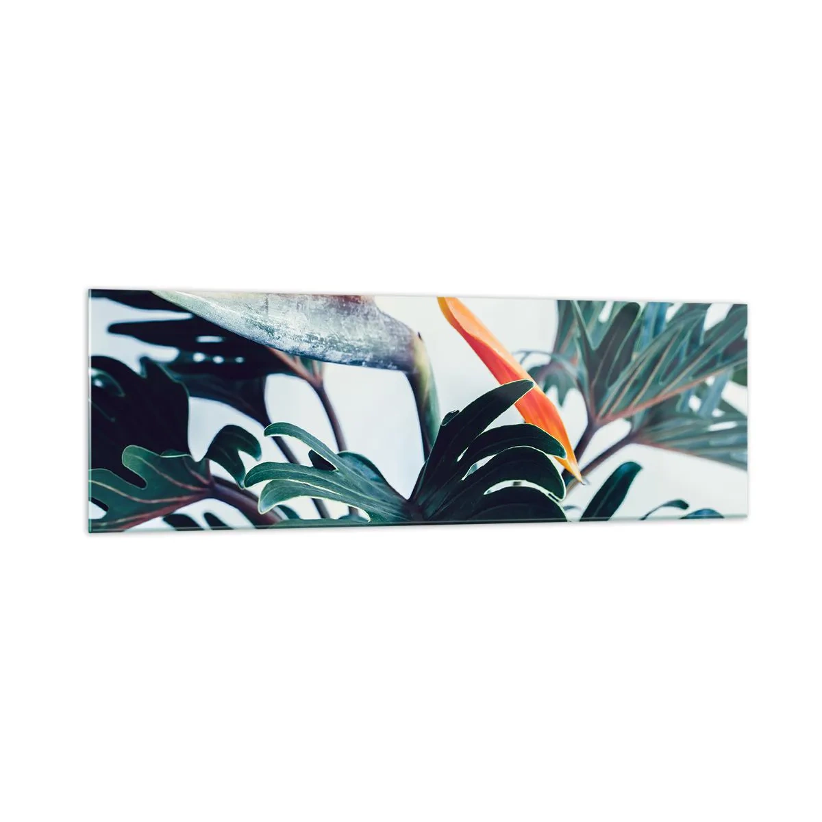 Impression sur verre - Image sur verre - Fleur de Strelitzia entourée de feuilles sous une lumière vive - 160x50cm - Le buisson oiseaux - Décoration murale moderne pour le salon et la chambre ARTTOR