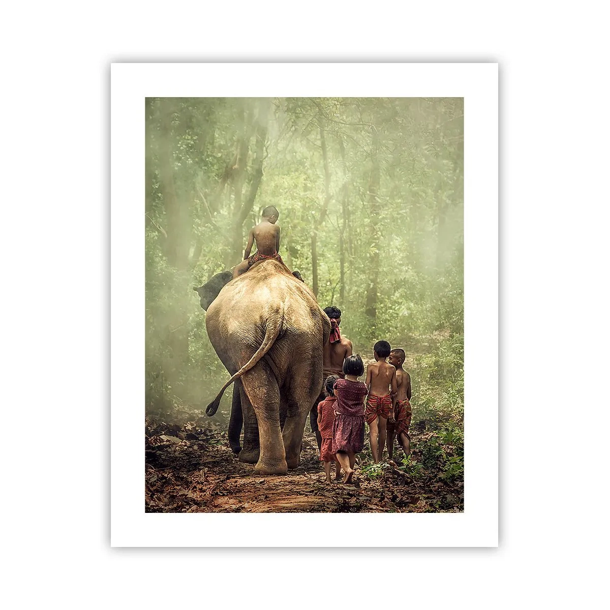 Affiche - Poster - Nouveau livre de la jungle - 40x50 cm
