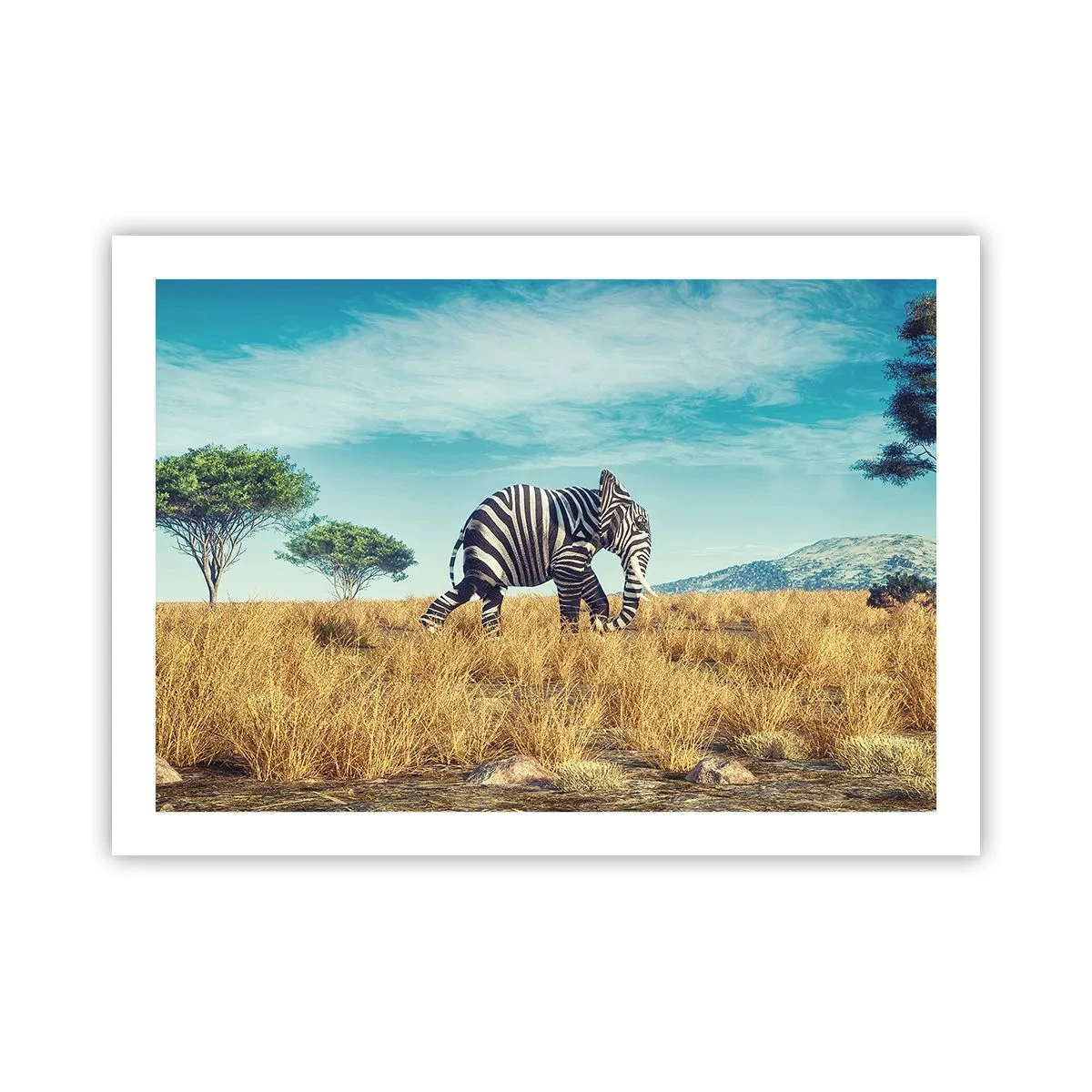 Affiche - Poster - Le gris n'est déjà plus à la mode - 70x50 cm