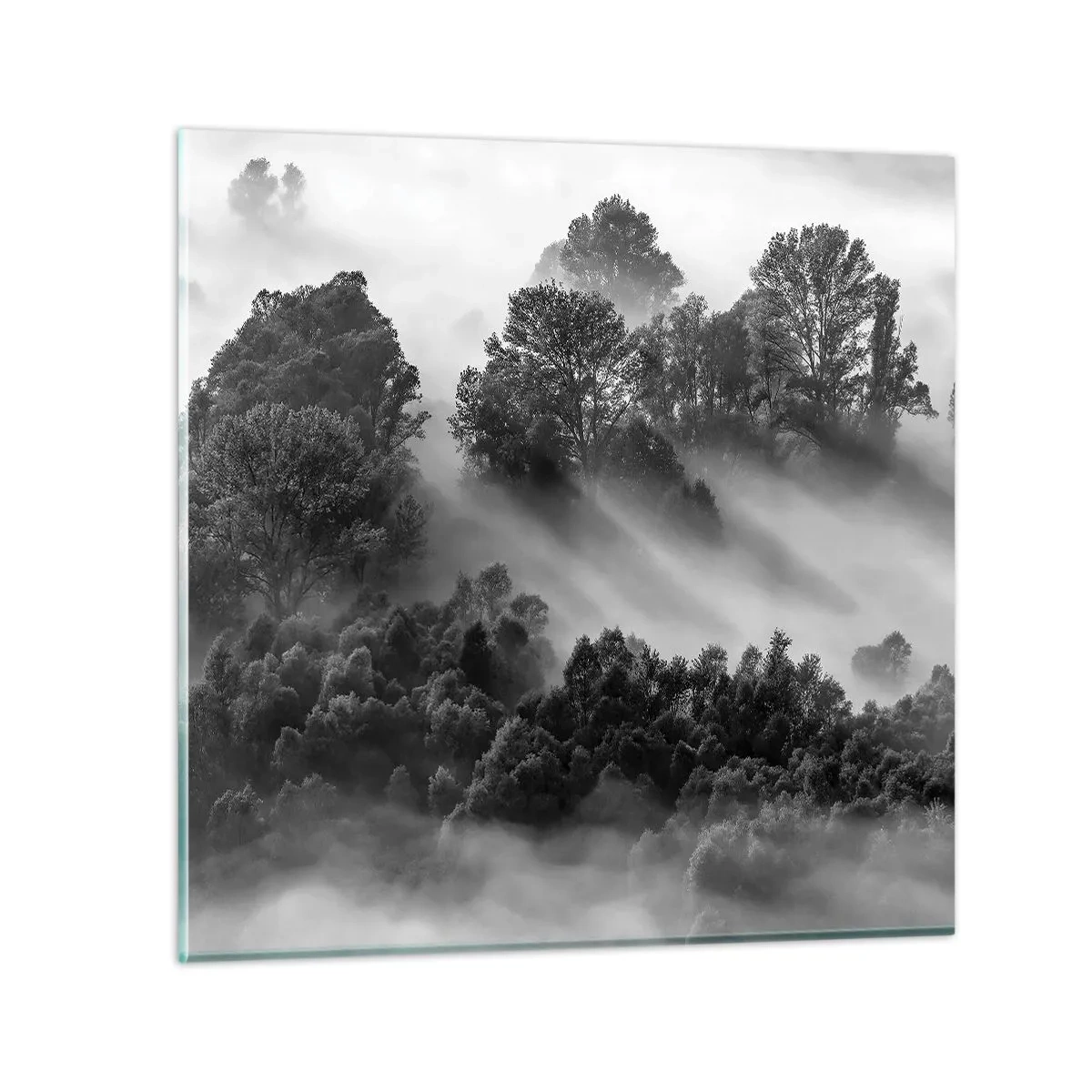 Impression sur verre - Image sur verre - Sortir de son sommeil - 40x40 cm