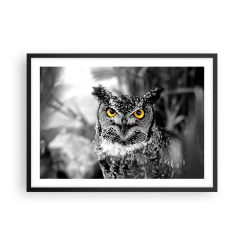 Affiche dans un cadre noir - Poster - Une photo en noir et blanc d'un hibou aux yeux jaunes - 70x50cm - Rien ne se cachera - Décoration murale moderne pour le salon et la chambre ARTTOR