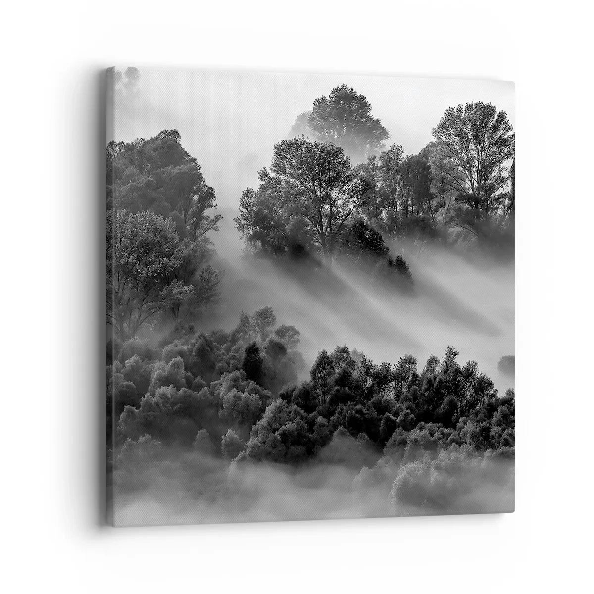 Impression sur toile - Image sur toile - Sortir de son sommeil - 40x40 cm