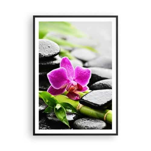 Affiche dans un cadre noir - Poster - Dans un équilibre de calme - 70x100 cm