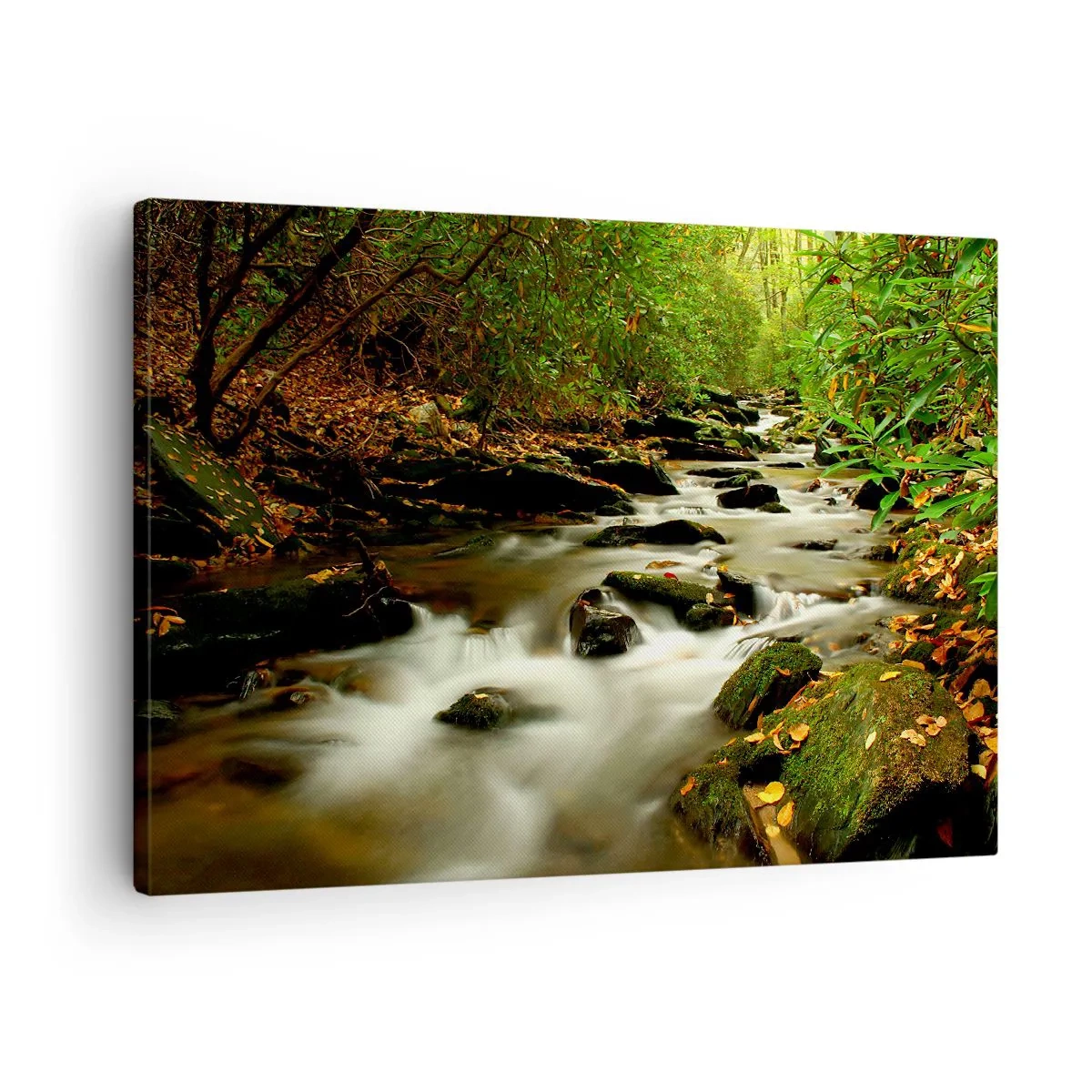 Impression sur toile - Image sur toile - Un ruisseau forestier coulant entre des pierres entourées de verdure - 70x50cm - Comme de l'argent liquide - Décoration murale moderne pour le salon et la chambre ARTTOR