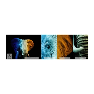 Échantillon De Papier Peint Standard Eco - Excentrique, pas bizarre - Abstraction, Éléphant, Animaux - 100x30 cm