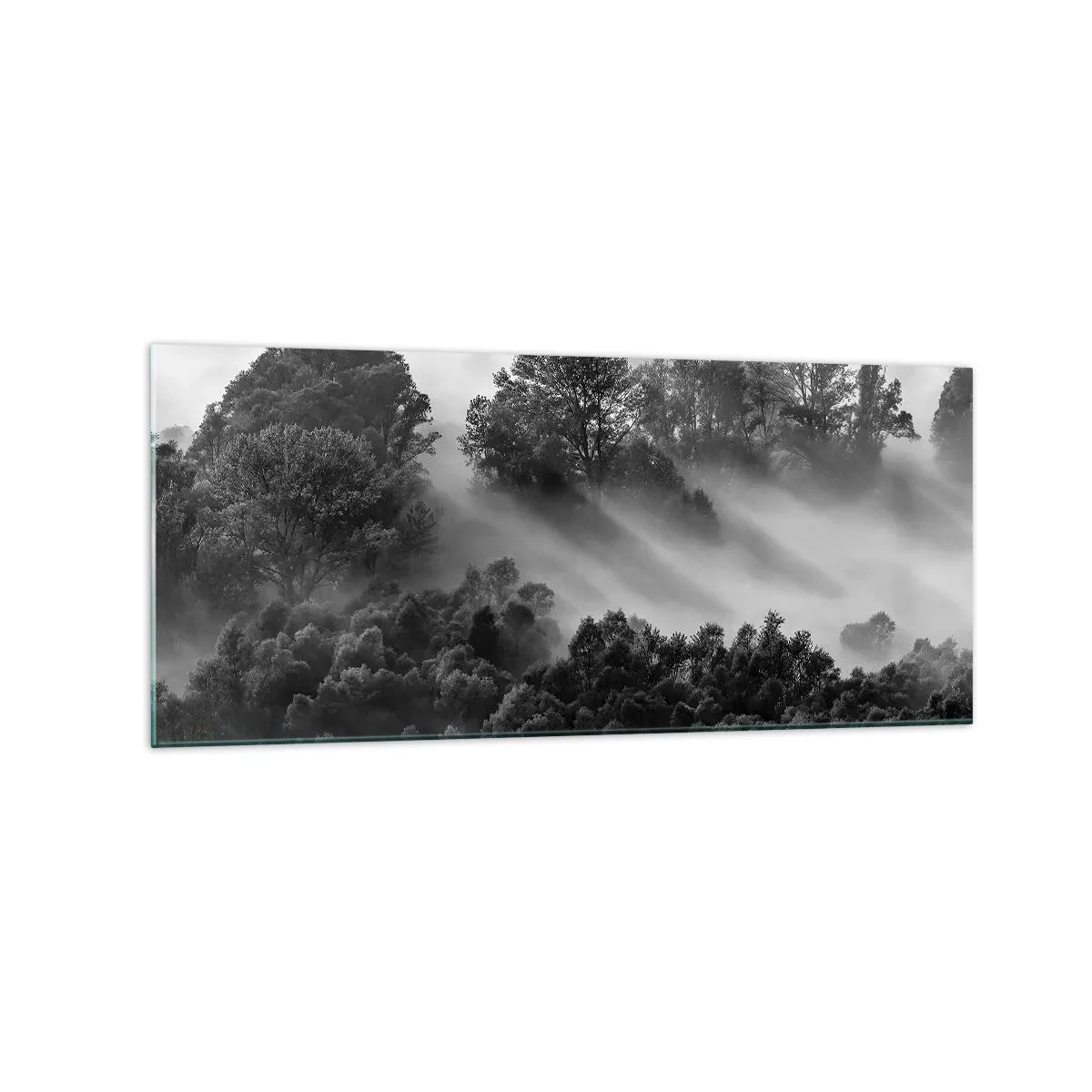 Impression sur verre - Image sur verre - Paysage forestier noir et blanc dans le brouillard du matin - 120x50cm - Sortir de son sommeil - Décoration murale moderne pour le salon et la chambre ARTTOR