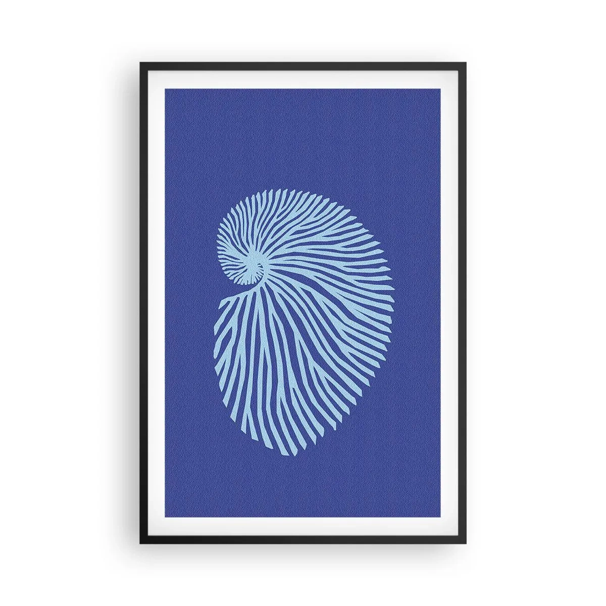 Affiche dans un cadre noir - Poster - La naissance de la coquille - 61x91 cm