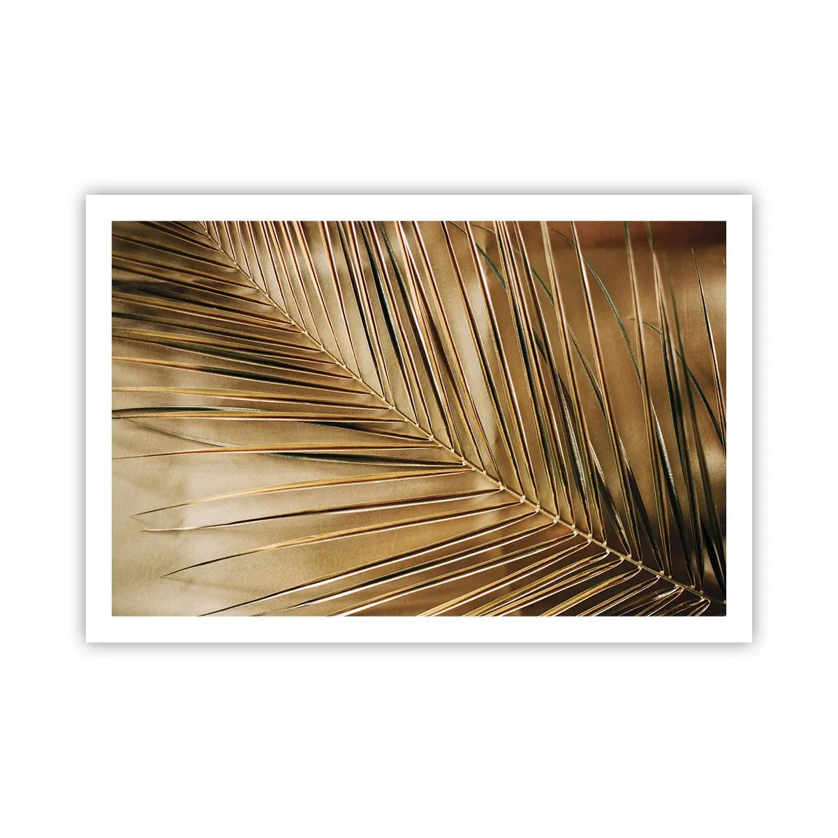 Affiche - Poster - Colonnade naturelle - 91x61 cm