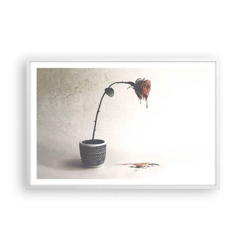 Affiche dans un cadre blanc - Poster - Rosa dolorosa - 91x61 cm