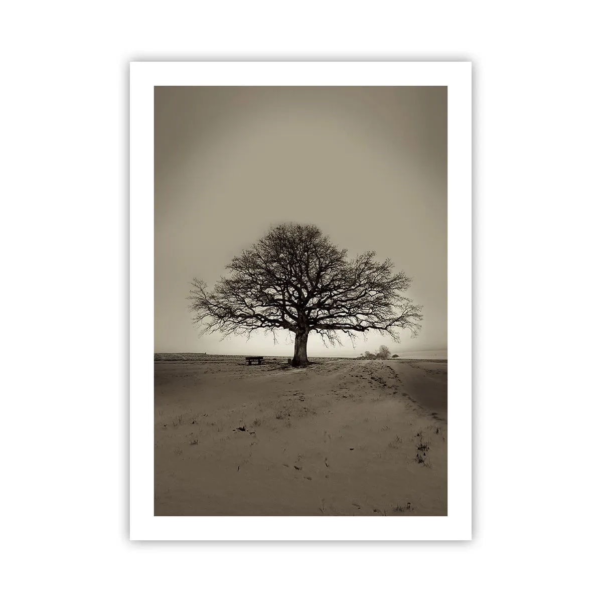Affiche - Poster - Un arbre solitaire dans un paysage sépia vide - 50x70cm - D'ici à l'éternité - Décoration murale moderne pour le salon et la chambre ARTTOR