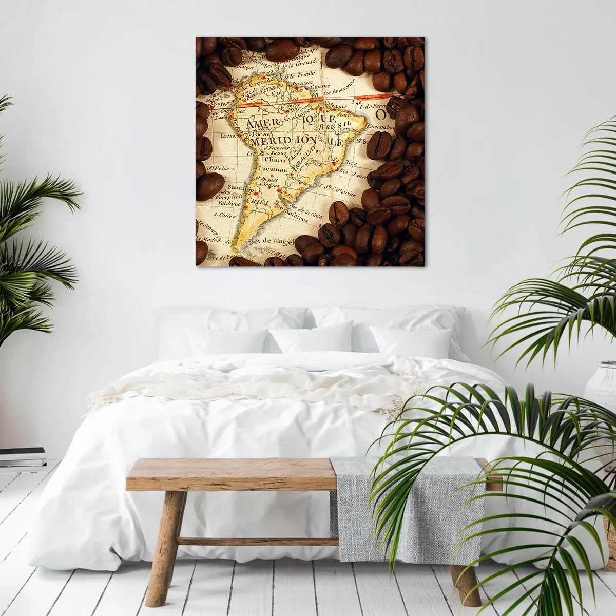 Impression sur toile - Image sur toile - D'où vient le meilleur café ? - 70x70 cm