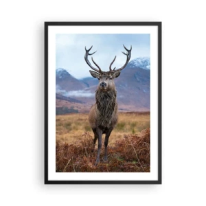 Affiche dans un cadre noir - Poster - Un cerf fier sur fond de montagne - 50x70cm - Sur son propre terrain - Décoration murale moderne pour le salon et la chambre ARTTOR