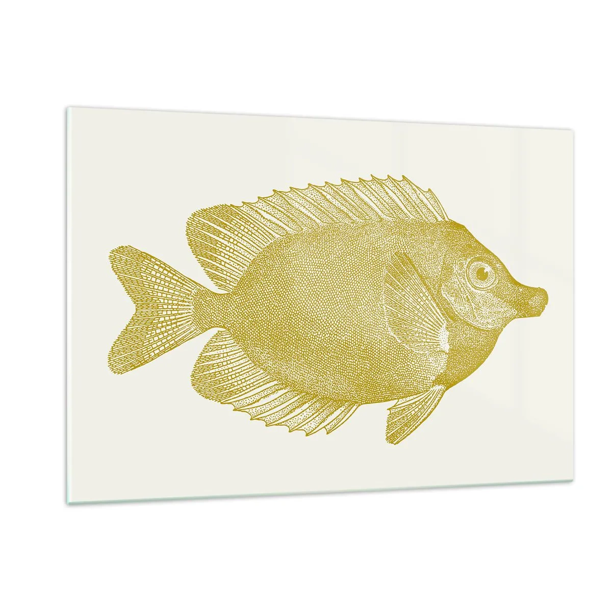 Impression sur verre - Image sur verre - Poisson rouge vintage sur fond clair - 120x80cm - Du poisson et c'est tout - Décoration murale moderne pour le salon et la chambre ARTTOR