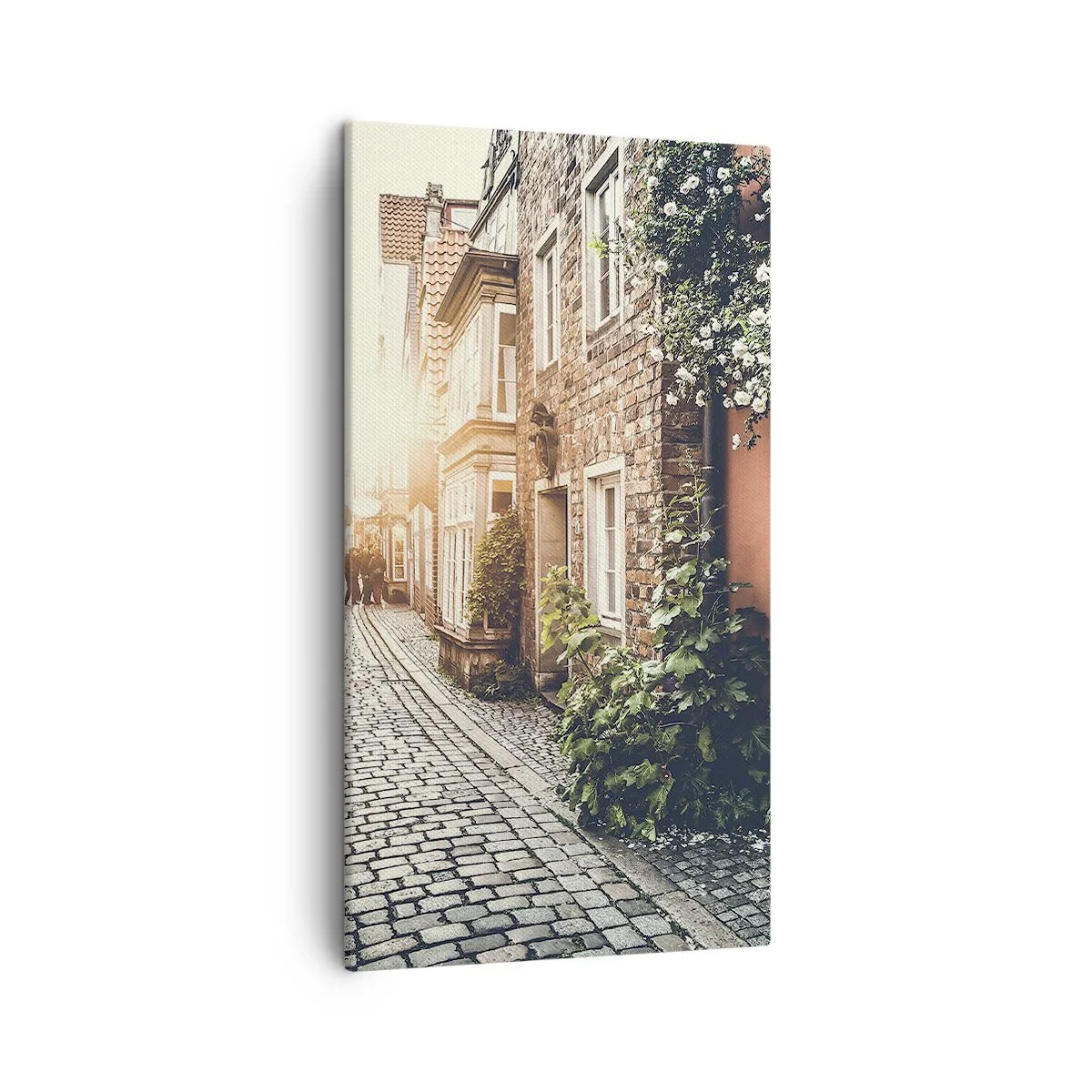 Impression sur toile - Image sur toile - Allée de roses en lueur rose - 45x80 cm