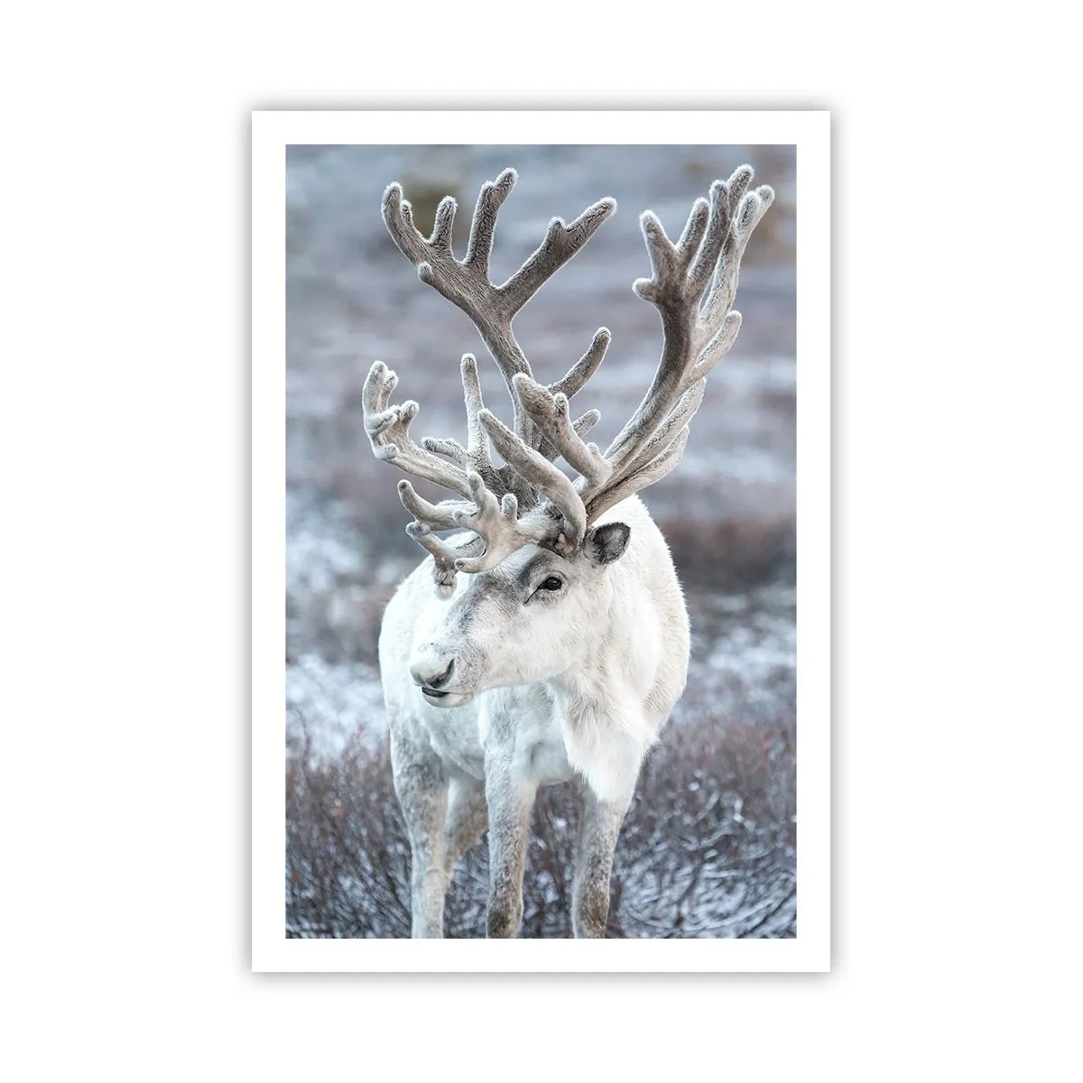 Affiche - Poster - Portrait au soleil - 61x91 cm