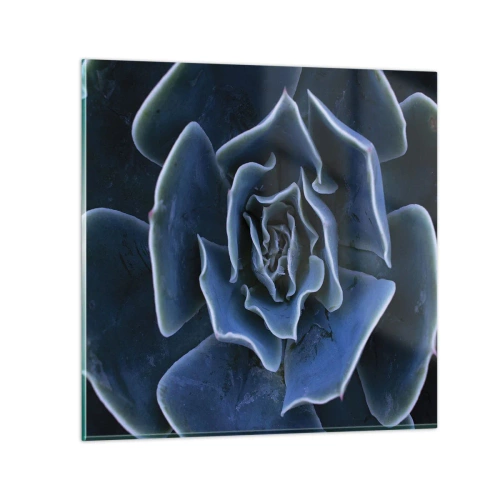 Impression sur verre - Image sur verre - Fleur du désert - 70x70 cm