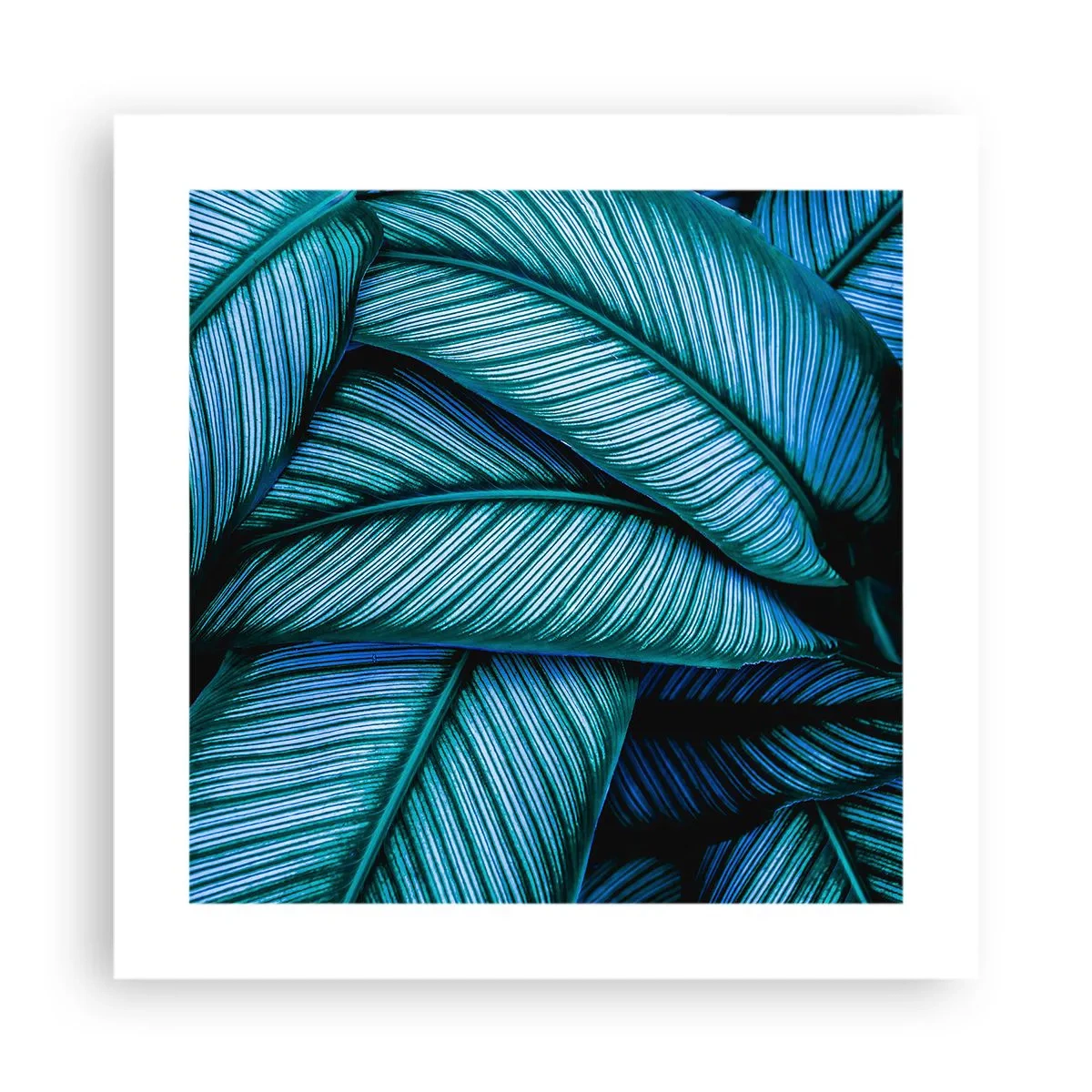 Affiche - Poster - Lignes de vie - 40x40 cm