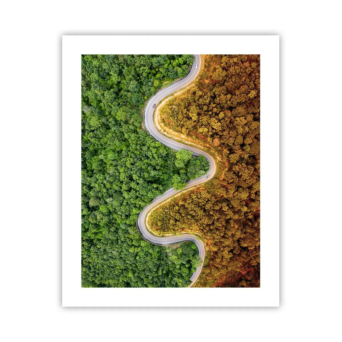 Affiche - Poster - Frontieres et differences - 40x50 cm