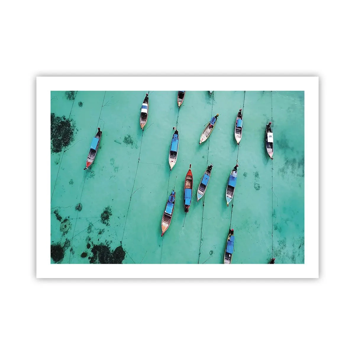 Affiche - Poster - Dans une attente jouyeuse - 70x50 cm
