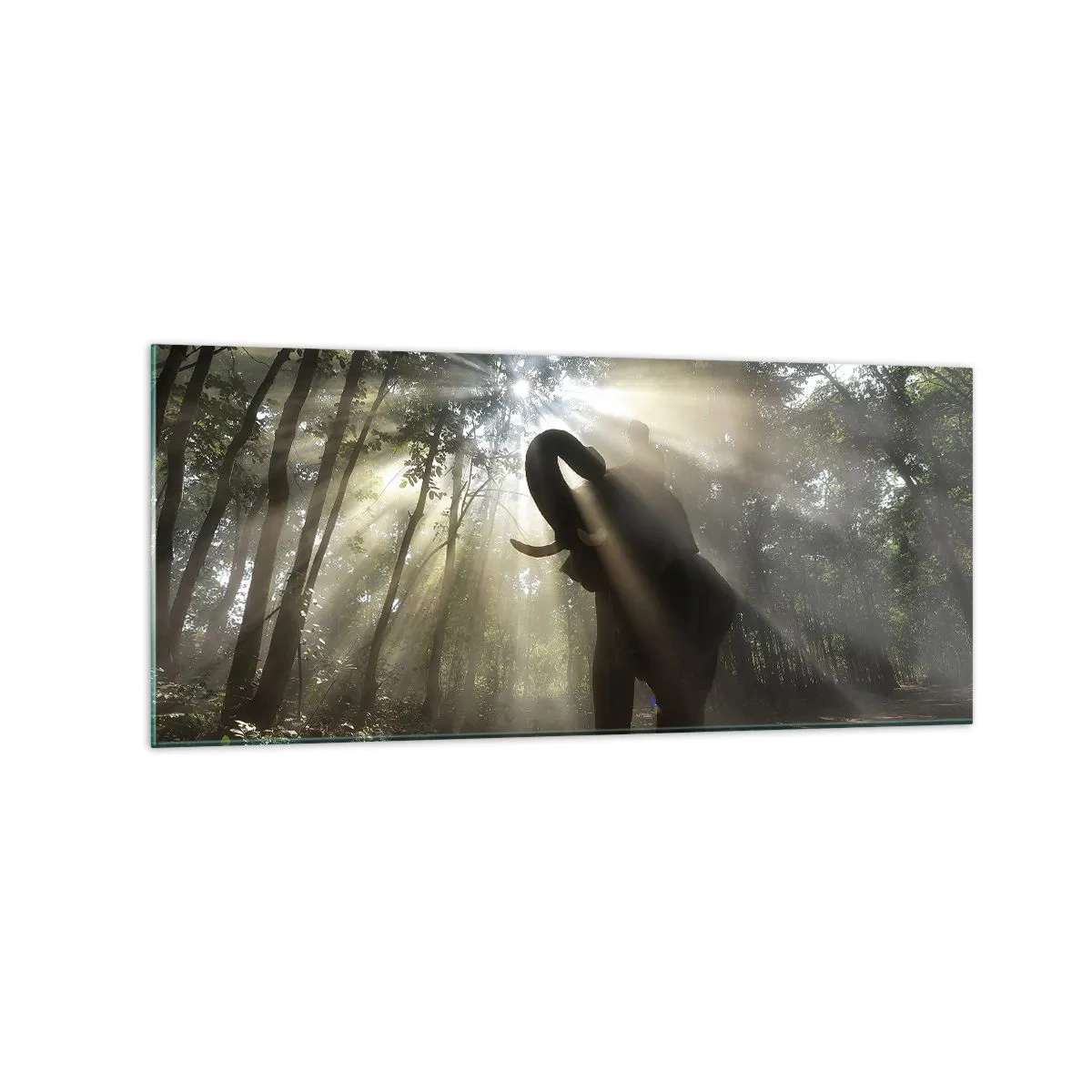 Impression sur verre - Image sur verre - Un éléphant dans la forêt entouré de rayons de lumière dans la brume matinale - 120x50cm - Sous la bonne étoile - Décoration murale moderne pour le salon et la chambre ARTTOR