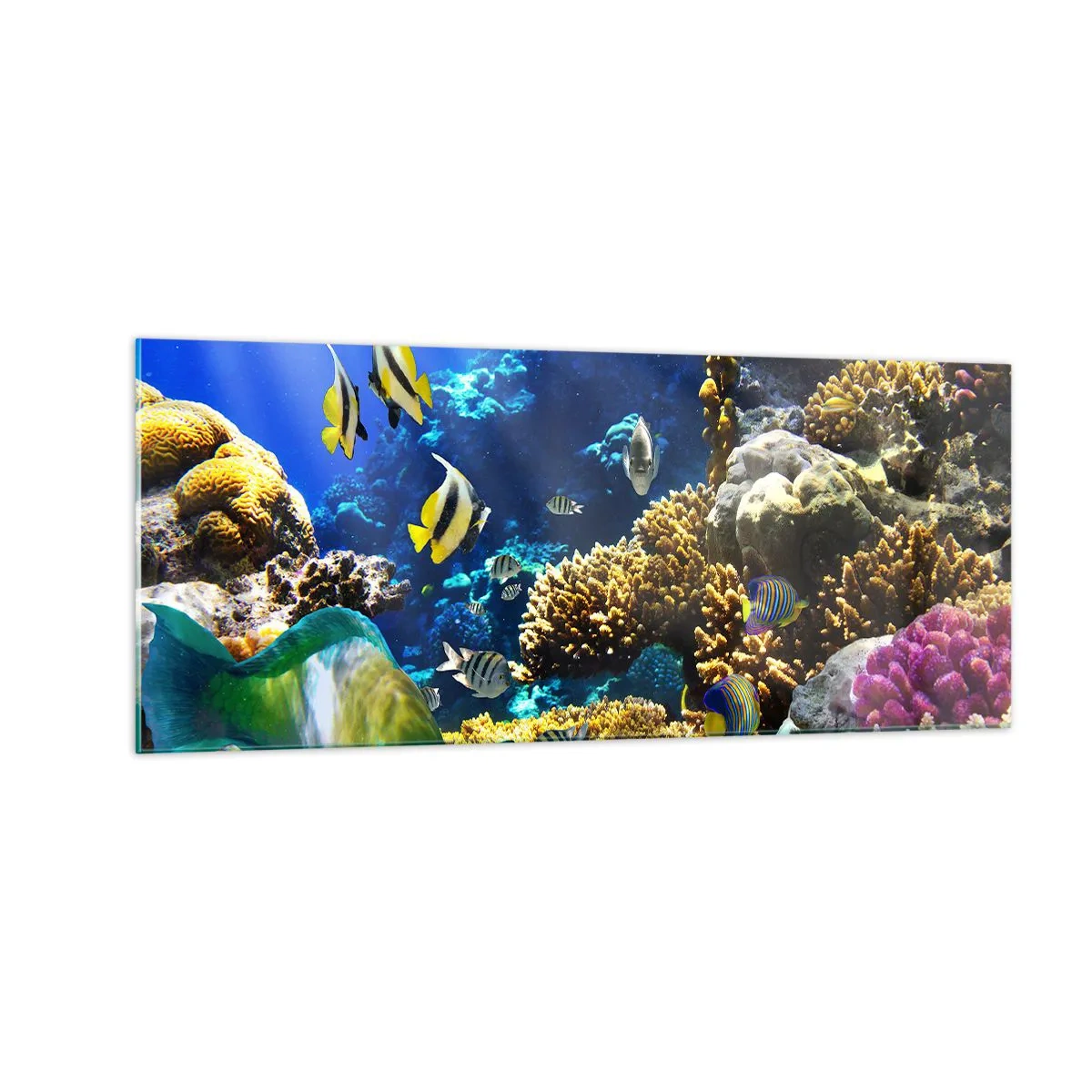 Impression sur verre - Image sur verre - Beaucoup de circulation sur la route des vacances - 100x40 cm