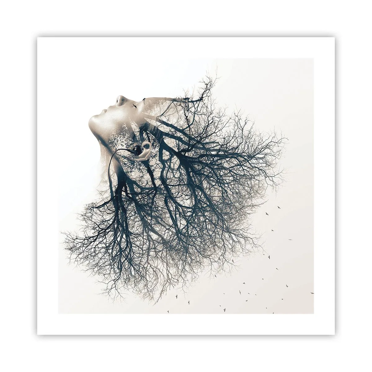 Affiche - Poster - Écouter le murmure des arbres - 50x50 cm