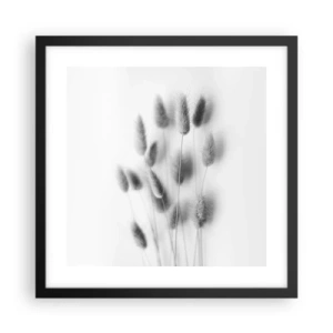 Affiche dans un cadre noir - Poster - Son herbe duveteuse - 40x40 cm