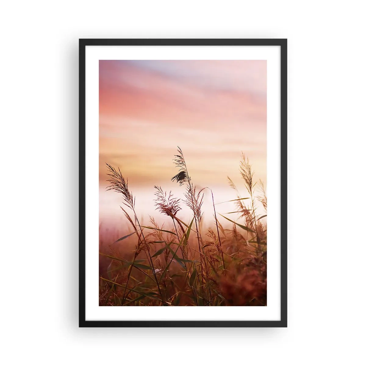 Affiche dans un cadre noir - Poster - Graminées contre un ciel coloré au coucher du soleil - 50x70cm - Cerfs-volants, pissenlits, vent - Décoration murale moderne pour le salon et la chambre ARTTOR