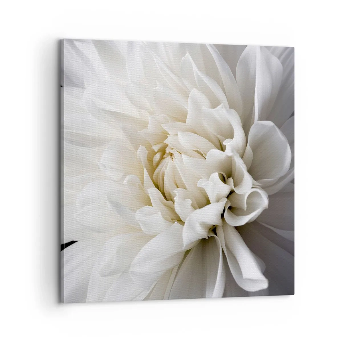 Impression sur toile - Image sur toile - Le matin de la jeune mariéé - 60x60 cm