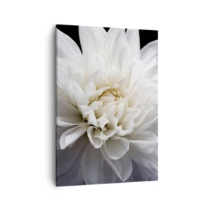 Impression sur toile - Image sur toile - Une délicate fleur blanche sur fond noir dans une composition élégante - 50x70cm - Le matin de la jeune mariéé - Décoration murale moderne pour le salon et la chambre ARTTOR