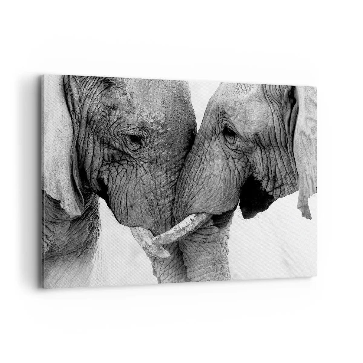 Impression sur toile - Image sur toile - Deux éléphants dans un geste tendre sur un fond monochrome - 100x70cm - Confession sincère - Décoration murale moderne pour le salon et la chambre ARTTOR