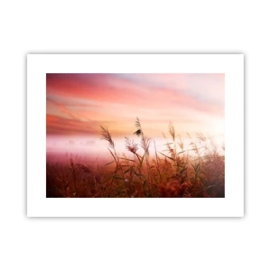 Affiche - Poster - Cerfs-volants, pissenlits, vent - 40x30 cm