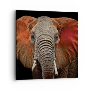 Impression sur toile - Image sur toile - Je suis sauvage, et toi? - 30x30 cm